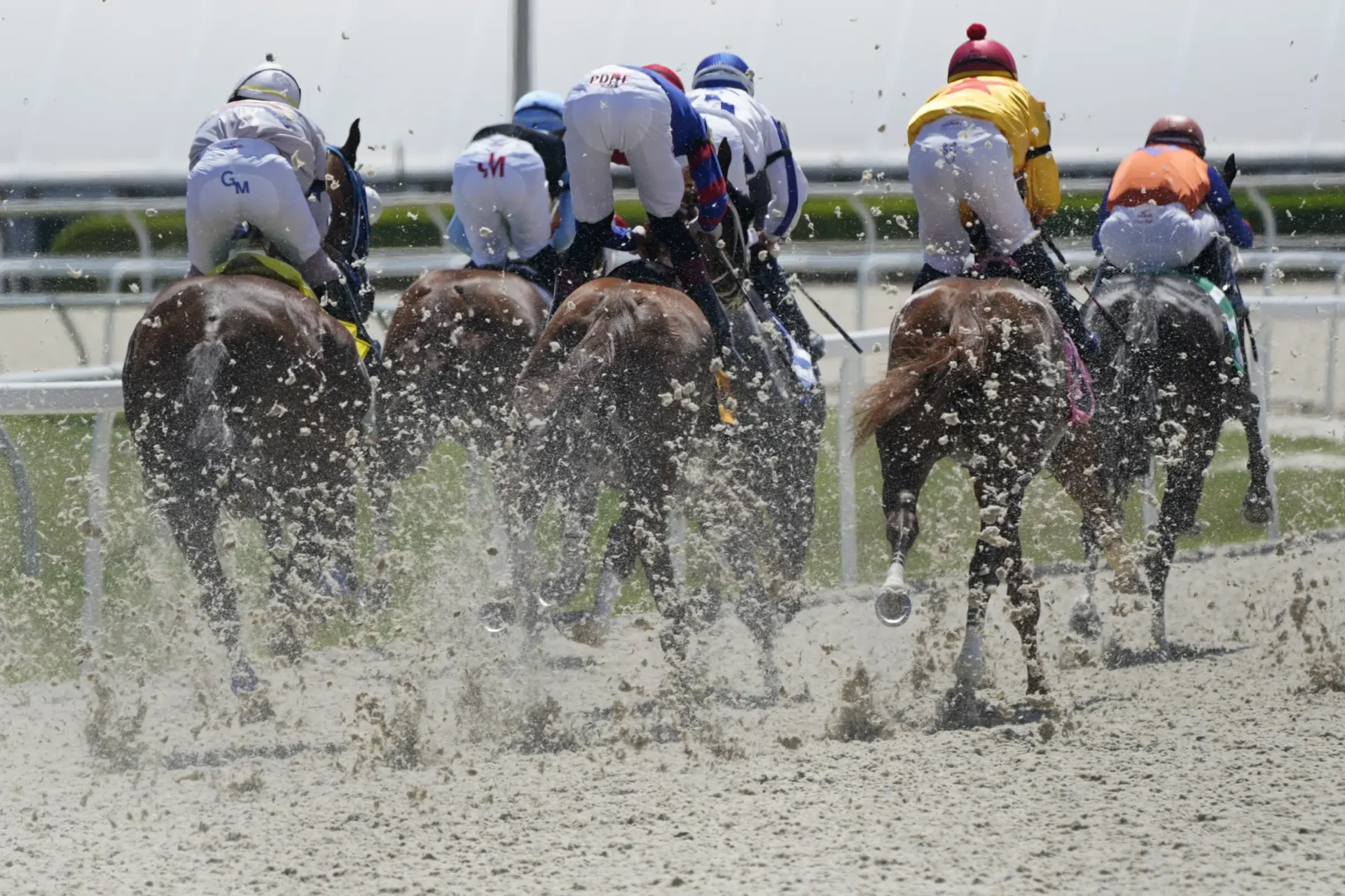 Las superficies sintéticas ganan terreno en las principales pistas de carreras de caballos