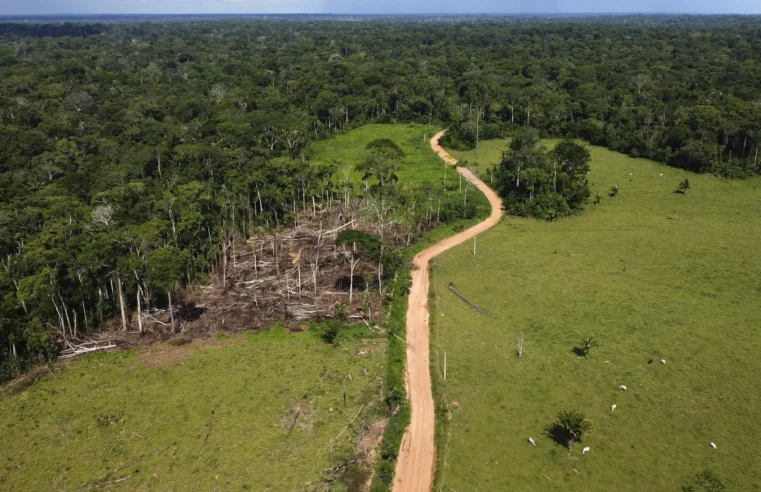 Lula de Brasil presenta un plan para detener la deforestación del Amazonas y convertir al país en “referencia mundial” sobre el clima