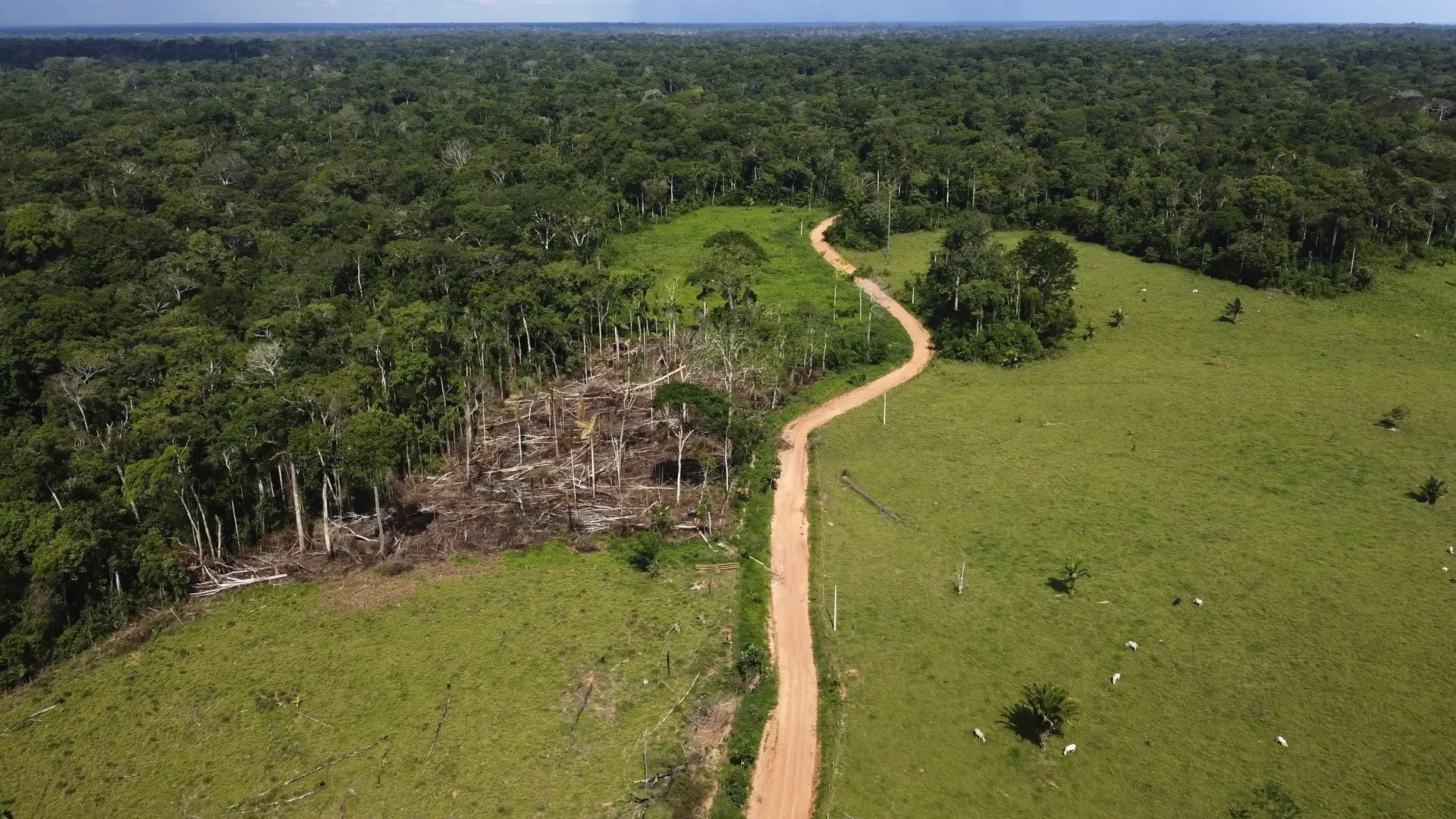 Lula de Brasil presenta un plan para detener la deforestación del Amazonas y convertir al país en “referencia mundial” sobre el clima