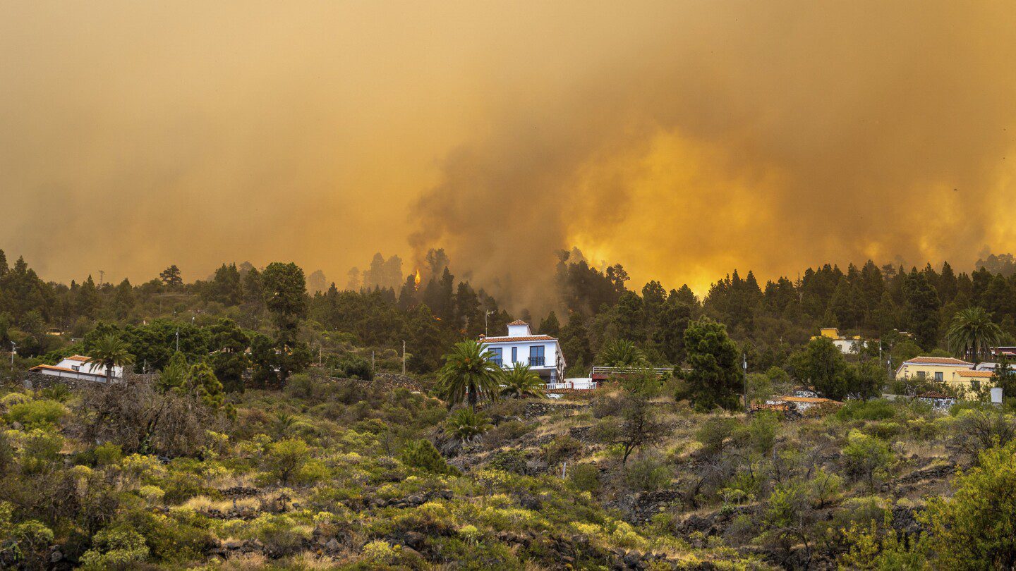2.000 evacuados en el incendio forestal de La Palma en las Islas Canarias de España;  Funcionario dice que el incendio está “fuera de control”
