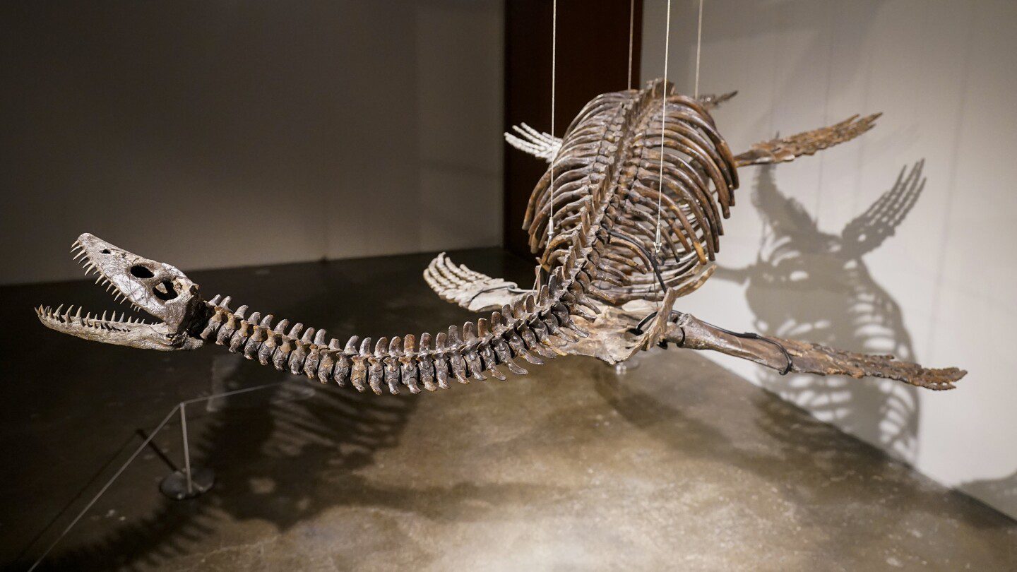 Esqueletos fosilizados de depredadores aéreos y acuáticos serán subastados por Sotheby’s