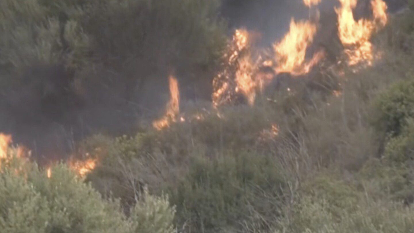 Los incendios forestales en Argelia han matado a 25 personas, incluidos 10 soldados que luchaban contra las llamas.