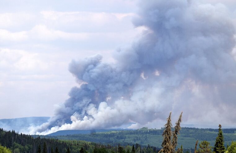 Los incendios forestales en Canadá han batido récords de área quemada, evacuaciones y costo, dice un funcionario