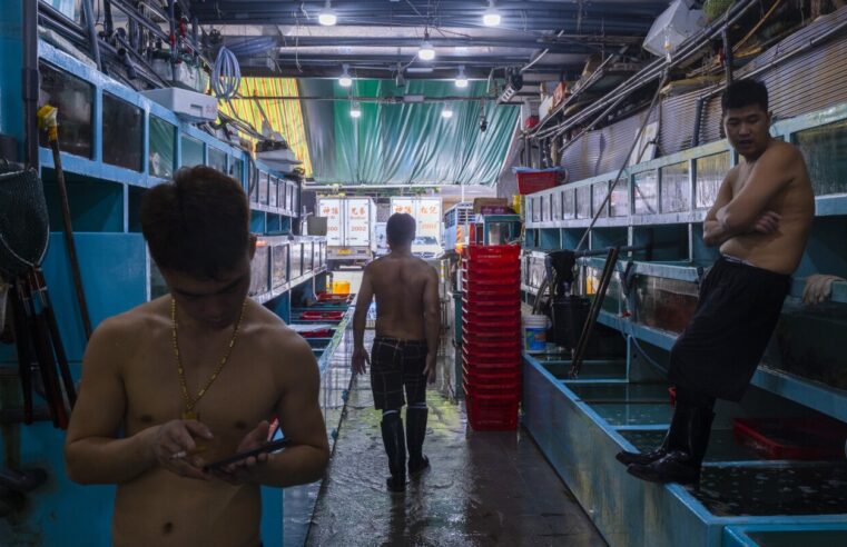 Los negocios de productos del mar de Hong Kong se preparan para una caída de las ventas ya que Japón planea descargar agua radiactiva