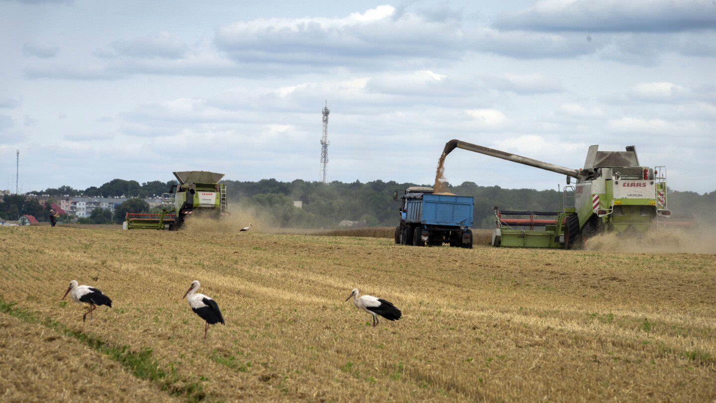 Rusia detiene el acuerdo de tiempos de guerra que permite a Ucrania enviar granos.  Es un golpe para la seguridad alimentaria mundial