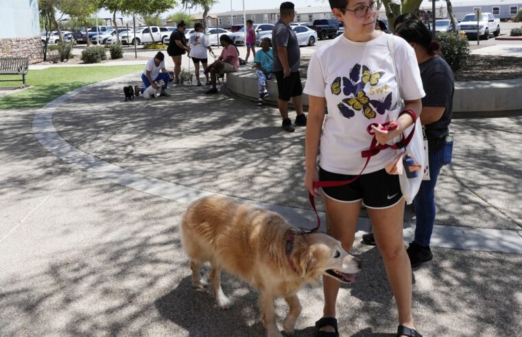 ThunderShirts, fiestas de baile y medicamentos para la ansiedad pueden ayudar a aliviar el temor del 4 de julio de los perros