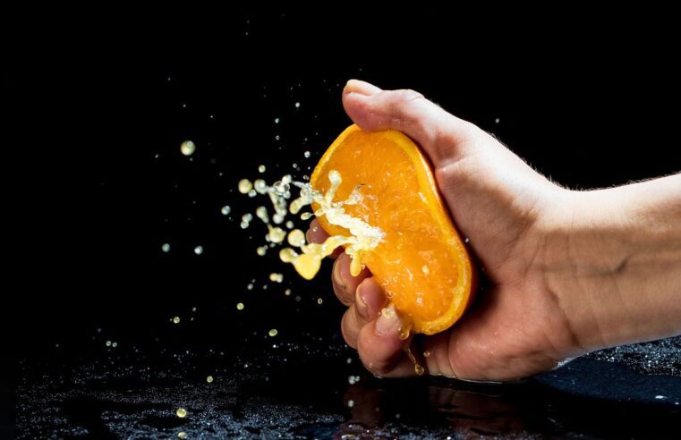 Las naranjas de Florida pronto subirán de precio, debido al cambio climático y a los insectos invasores