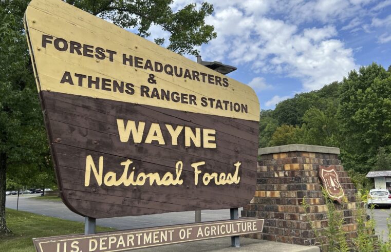 El legado del general Anthony Wayne, padre de la patria, recibe una segunda mirada en el Bosque Nacional Wayne de Ohio
