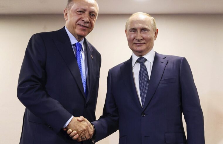 Qué está en juego cuando el líder turco se reúna con Putin en un intento por restablecer el acuerdo sobre el grano del Mar Negro